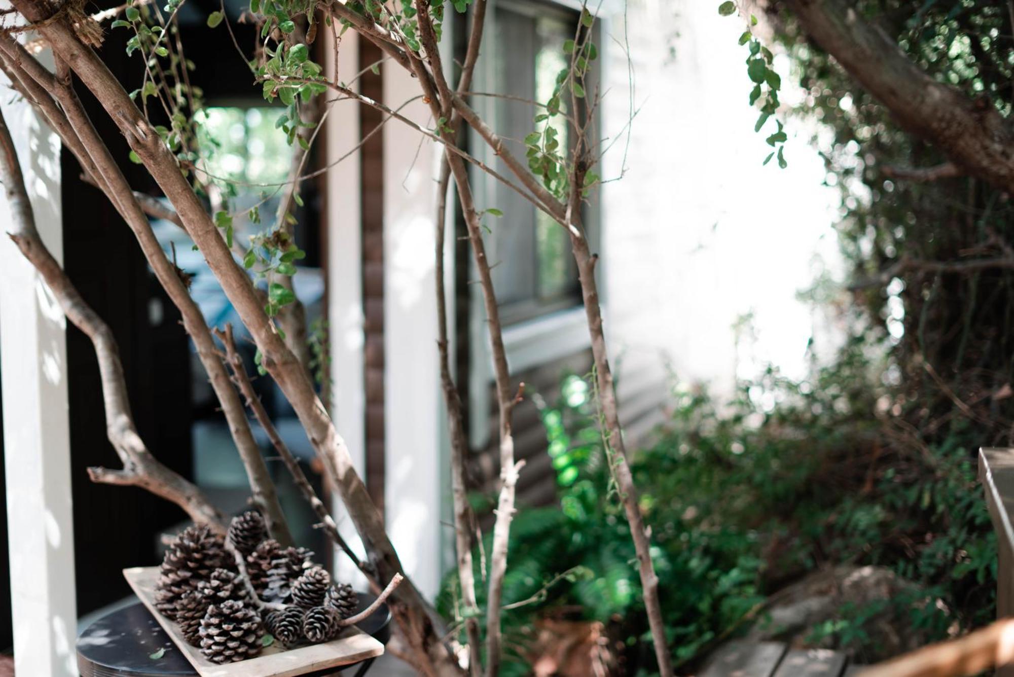 Live In The Woods Villa Mikhmannim Dış mekan fotoğraf